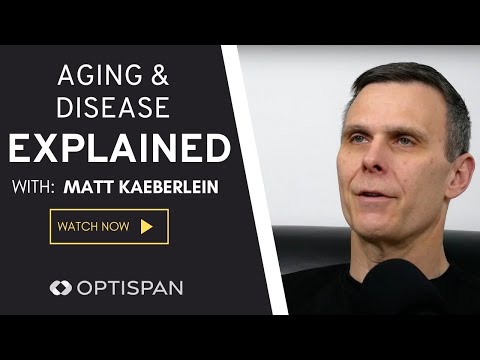 Understanding Aging & Disease and How They're Related | Longevity Science with Matt Kaeberlein EP 1