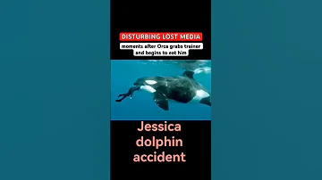 Jessica Dolphin Accident 