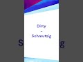 GERMAN ADJECTIVES 5 (Clean, Dirty, Right, Wrong) #shorts