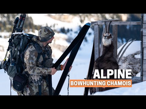 We risk our lives to recover the chamois 😰: Bowhunting chamois on ski!