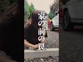 家の前に珍しいものがある時、実は罠かもしれません