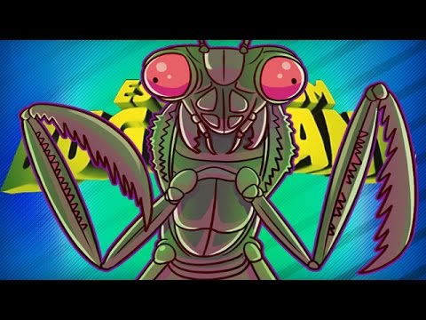 ISLAND OF LOVE - Escape From BUG ISLAND
