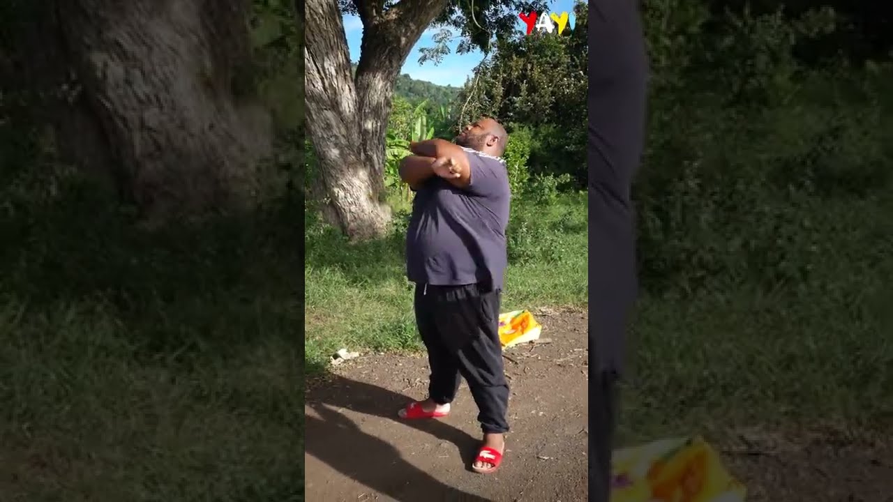 Les aventures de Rohombi: la course