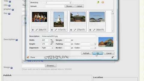 Moving Images in the WYSIWYG