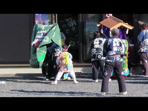 大杉神社２０２５初詣　八幡大神楽