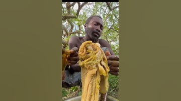 A Day in the Life of the Hadzabe Tribe: Bush Foods and Traditions. #suku hadzebe