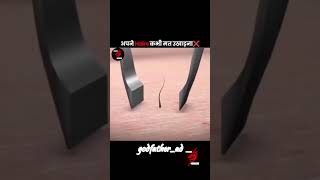 Day32 ABOUT HAIRS #facts #amazingfacts #knoweledgefacts #funfacts #new #viralmyvideo  #animation