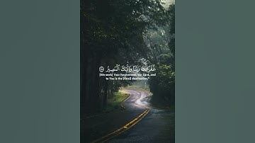 قرآن كريم بصوت جميل،راحة نفسية،رَبَّنَا وَلَا تُحَمِّلْنَا مَا لَا طَاقَةَ لَنَا بِهِ || سورة البقره