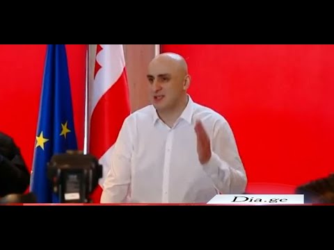 ნიკა მელიას დაპატიმრება გადაიდო - გორელი პოლიტიკოსებისა და მესამე სექტორის შეფასებები 18.02.2021