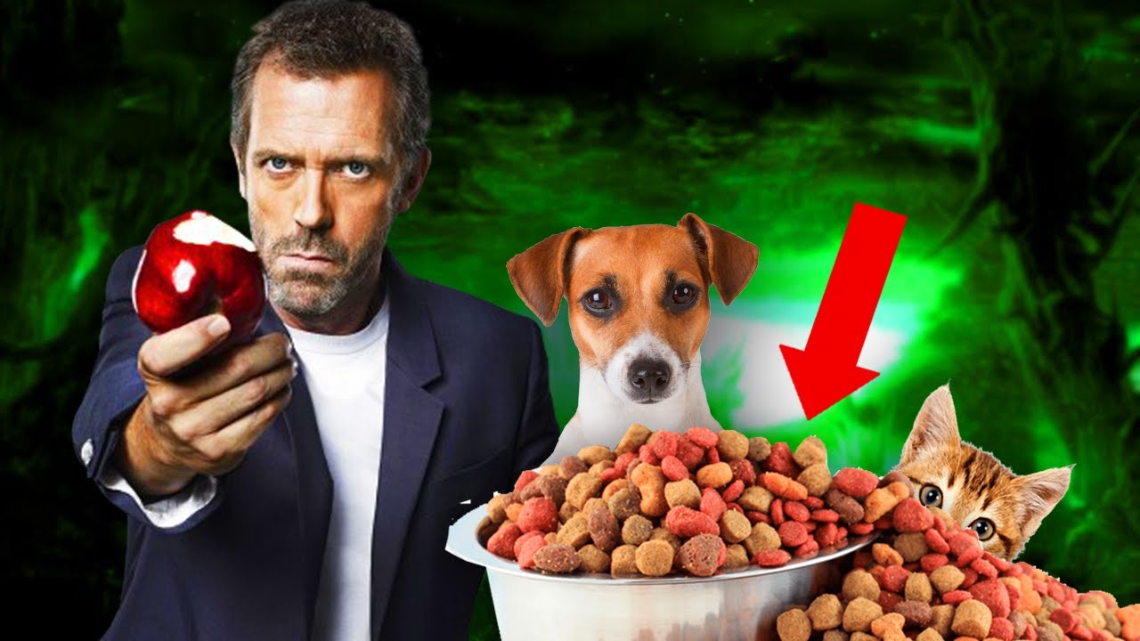 LA PIRE DÉCOUVERTE DANS DES CROQUETTES POUR CHIENS & CHATS