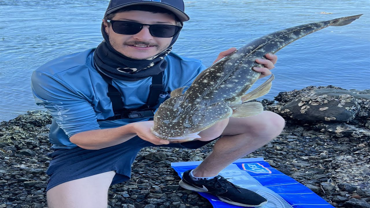 Awesome Flatty & Bream session! - Windang Fishing - Lake Illawarra