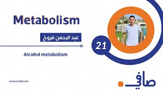 Alcohol Metabolism ||  استقلاب الكحول