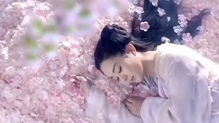 [Eng Sub] #zhaoliying The journey of flower record is unbroken even after 9 years of broadcast