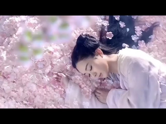 [Eng Sub] #zhaoliying The journey of flower record is unbroken even after 9 years of broadcast class=
