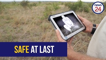 WATCH: New hi-tech project halts rhino poaching in private reserve