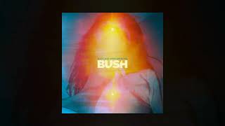Bush - Nurse [Custom Instrumental]