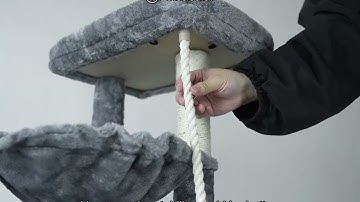 Xin Three Layer Cat Tree Review: Is It the Ideal Play and Rest Spot for Your Cat?