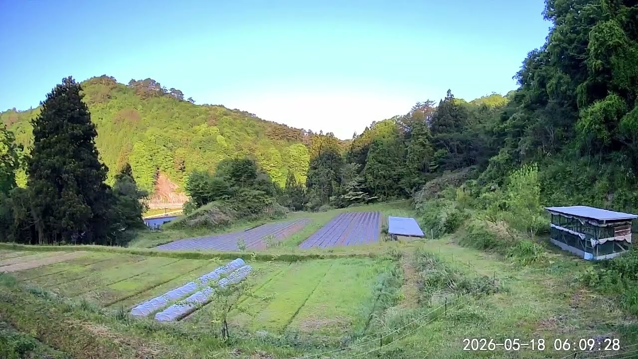 田舎山の住人 よそ者