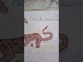 mis dibujos de Dinosaurios de la tarea de inglés
