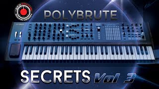 Secrets Vol 3 - Patches 49 to 72 - Arturia Polybrute