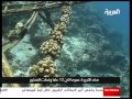Part 4 Of 11 Talal Al Haj Al Arabiya 2010 UNCA News Coverage Gold Award On Climate Change Part 4 Of 11 Talal Al Haj Al Arabiya 2010 UNCA News Coverage Gold Award On Climate Change