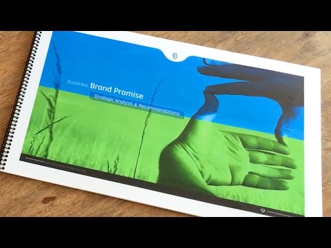 Brand Strategy Roadmap