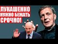 Невзоров развалил Лукашенко и прокомментировал конституцию