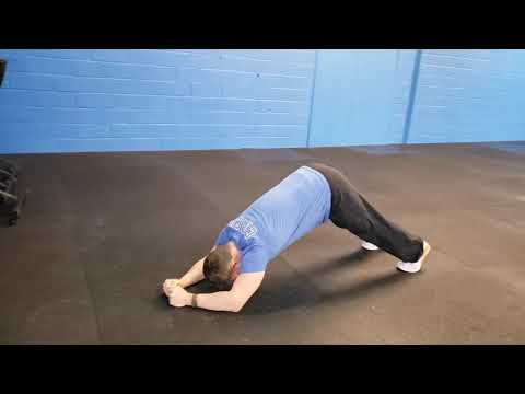 Elbow Plank Scap Push Up To Dolphin