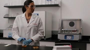 DNA cloning protocol for gene therapy development