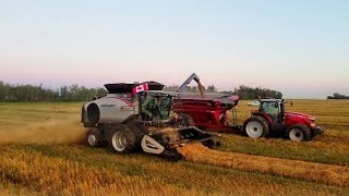 Gleaners Bringing In Big Bushels