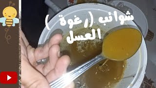 طريقة تخلص من رغوة ( شوائب )العسل مجني حديثا / تربية النحل