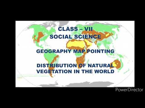 Video: Hvad er verdens vegetation?