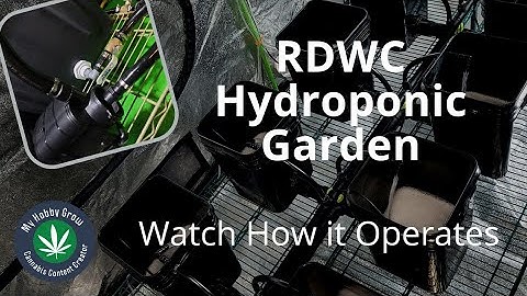 RDWC Hydroponic Garden - Walk through of my DIY RDWC Waterfall  Hydroponic System