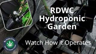 RDWC Hydroponic Garden - Walk through of my DIY RDWC Waterfall  Hydroponic System