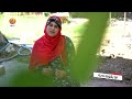 لە ڕووی سوود و تایبەت مەندیەوە هیچ جیاوازیەک نیە لە بەینی دۆشاوی تووی وشک و تووی تەردا لە ڕووی سوود و تایبەت مەندیەوە هیچ جیاوازیەک نیە لە بەینی دۆشاوی تووی وشک و تووی تەردا