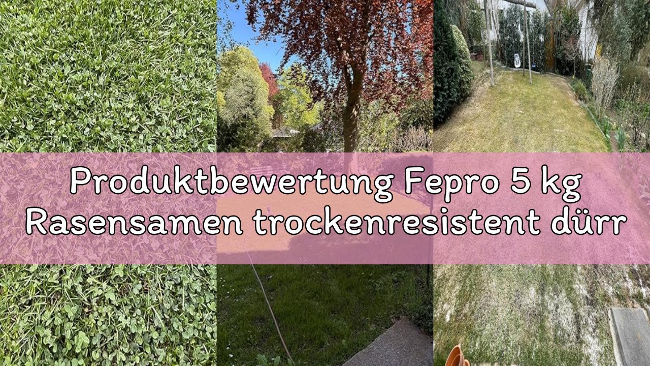 Produktbewertung Fepro 5 kg Rasensamen trockenresistent drreresistent fr  Trockenrasen & Schattenra - YouTube