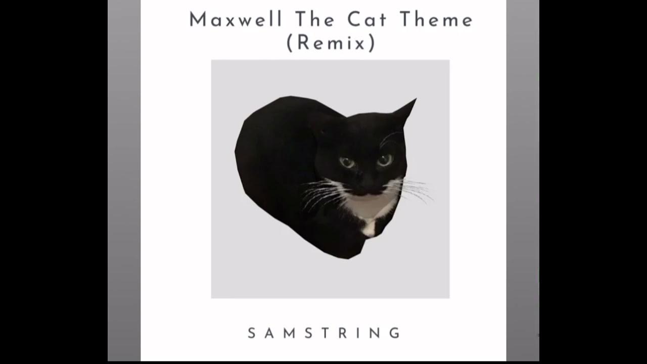 Максвелл мем. Maxwell Cat. Максвелл кот Мем. Maxwell the Cat Theme. Максвелл кот ава.