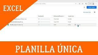 Planilla Única Excel