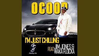 Celebrity Im Just Chilling (feat. Jim Jones & Waka Flocka) Net Worth