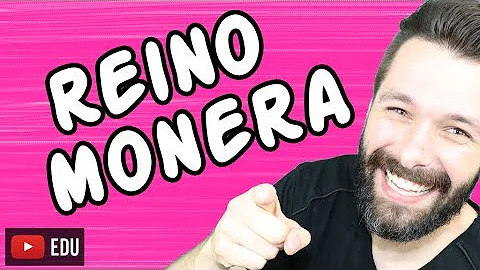 Qual a forma de obtenção de energia do reino monera?