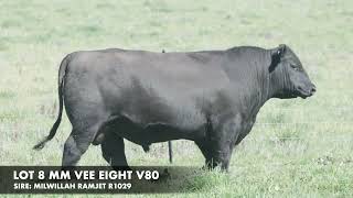 LOT 8 MM VEE EIGHT V80