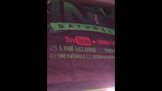 cannabiscultivate Skunky Bunz & Deluxe SugarCane From  Fed with Lotus Nutrients Ayahuasca Purple