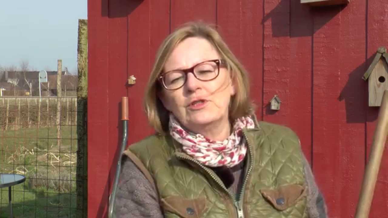 Sådan fjerner du alger på fliserne uden brug af sprøjtegifte