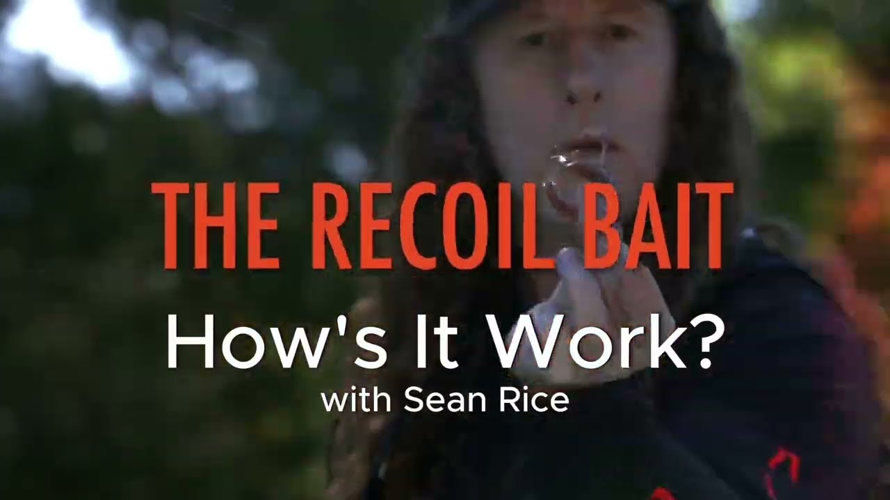 How's The Recoil Bait Actually Work? 