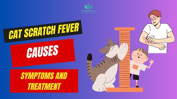 Cat Scratch Fever: Causes, Symptoms, and Treatment