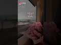 Soothing Quran Verses Recitation