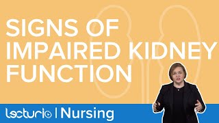 Evaluating Renal (Kidney) Function | Med-Surg/Pathophysiology | Lecturio Nursing