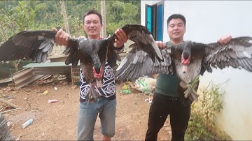 TIẾT CANH NGAN & GIAO HỮU BÓNG ĐÁ CỦA ANH EM NHỊP SỐNG TÂY BẮC