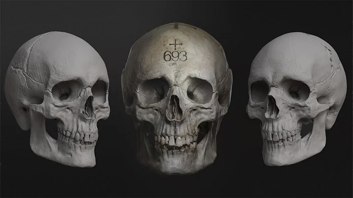 Sculpting the Human Skull With John William Crossl...