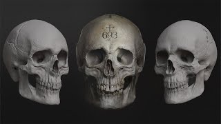 Sculpting The Human Skull With John William Crossland